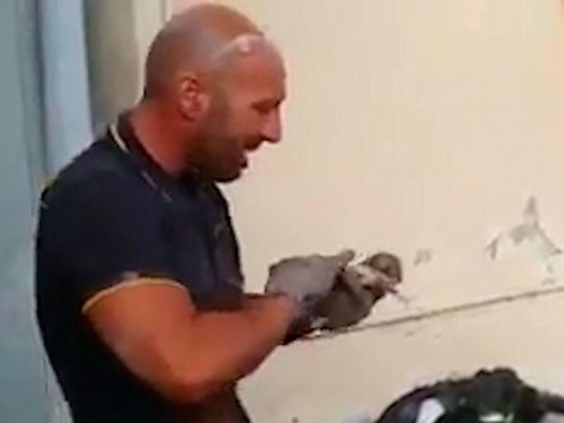 Pişik balasını xilas edən yanğınsöndürən göz yaşlarını saxlaya bilmədi - VİDEO
