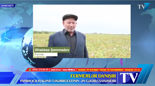 FERMERLƏR DANIŞIR: “Pambıqçılıq kənd təsərrüfatının ən əməktutumlu və ən gəlirli sahəsidir” - VİDEO