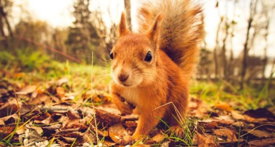 Прогноз погоды на завтра