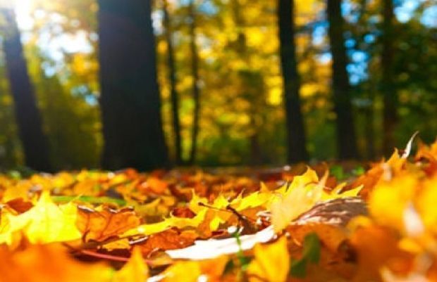 Синоптики обещают 28 градусов тепла