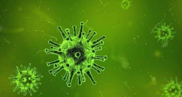 Naməlum ölümcül xəstəlik aşkar edildi — Artıq ilk qurban var