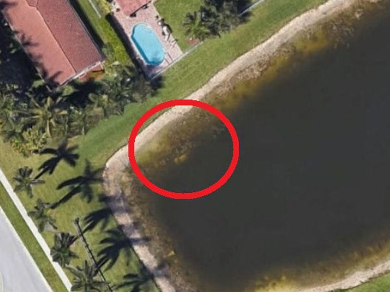 “Google Earth”lə 22 il əvvəl itkin düşən insanın skeleti tapıldı - FOTO