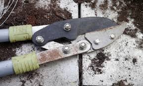 Arvad ərinin cinsiyyət orqanını bağban qayçısı ilə 