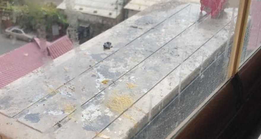 Когда твои соседи «свиньи», или пару слов о том, что движет людьми, выбрасывающими мусор из окон? - ФОТО