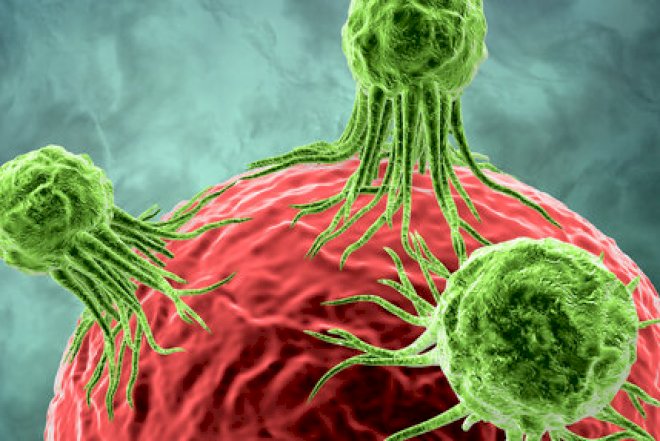 Diqqət: Bunu etməyin, xərçəng yaradır - Foto