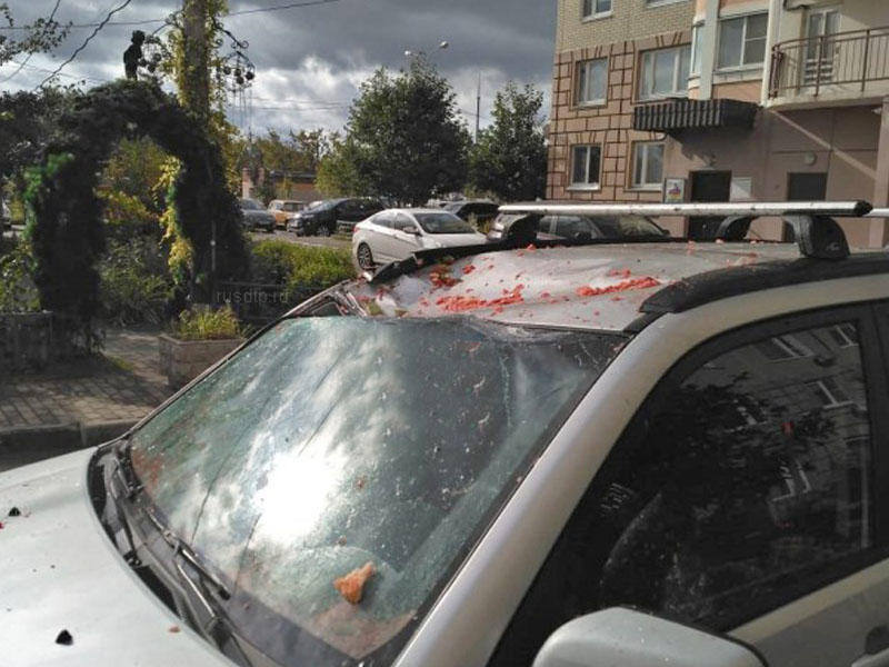 “Qonşu” qonşunun avtomobilini qarpızla əzdi - Düzgün park etmədiyinə görə - FOTO