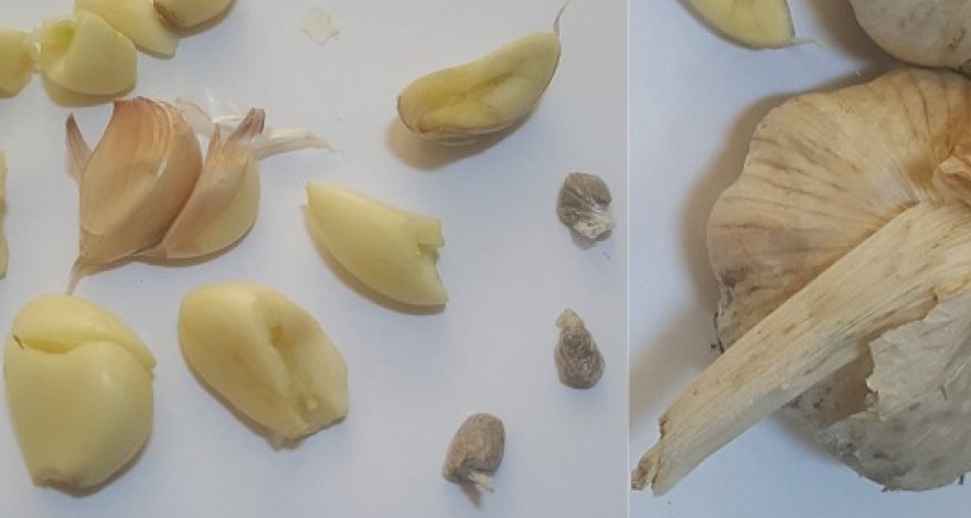 Передающий необычным способом наркотики мужчина был задержан