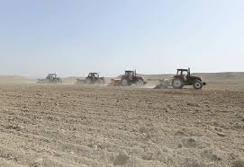 Azərbaycanda 622689 hektar sahədə payızlıq əkinlər üçün şum aparılıb