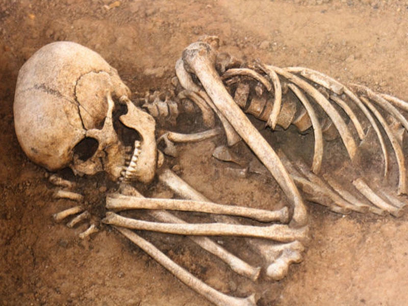 Alimlər ölünün parçalanmasını lentə aldılar: 17 ay hərəkət edirmiş