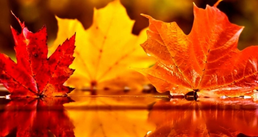 В Азербайджане осень вступает в свои права