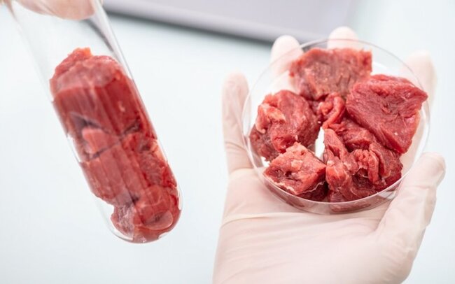 Rusiyada süni ət yaradıldı – İlk kotlet bişirilib