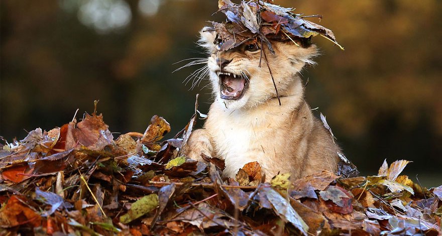 Прогноз погоды на завтра