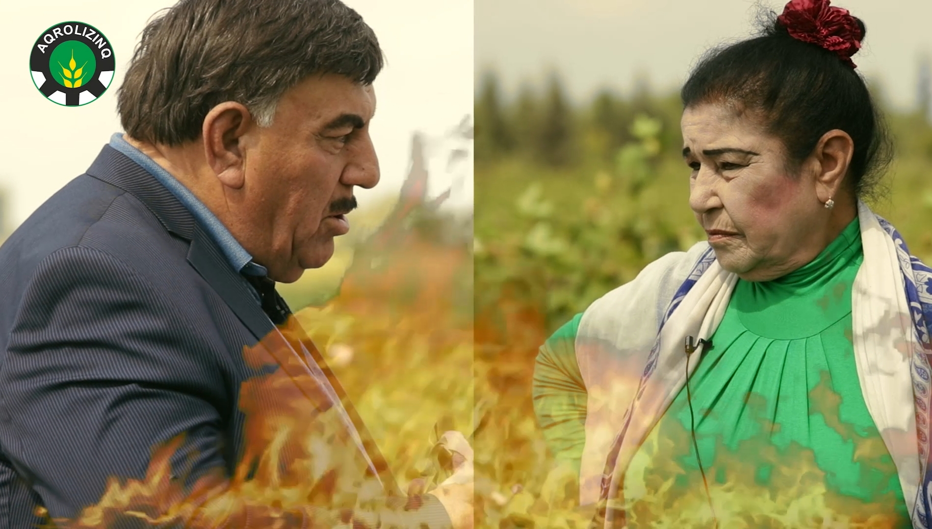 PAMBIQÇILAR ÜZ-ÜZƏ GƏLDİ: Əlibala Səlimov yoxsa Fatma Hüseynova? - YARIŞ BAŞLADI - VİDEO