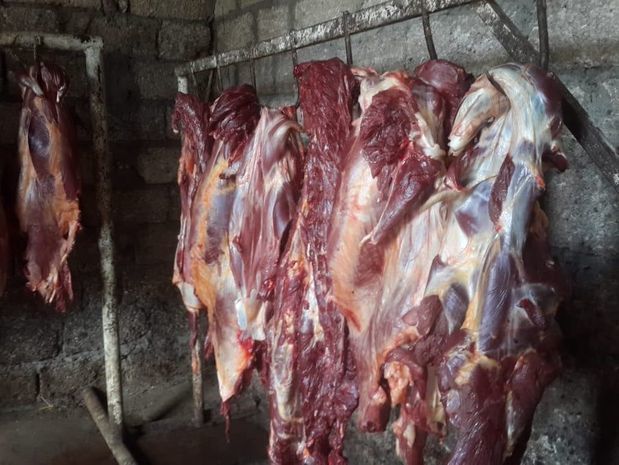 У фермера в Хачмазе изъяли более 300 кг несъедобного мяса - ФОТО