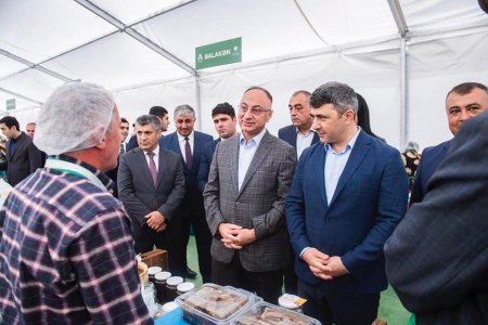 İnam Kərimov və Qoşqar Təhməzli bal yarmarkasında-FOTOLAR