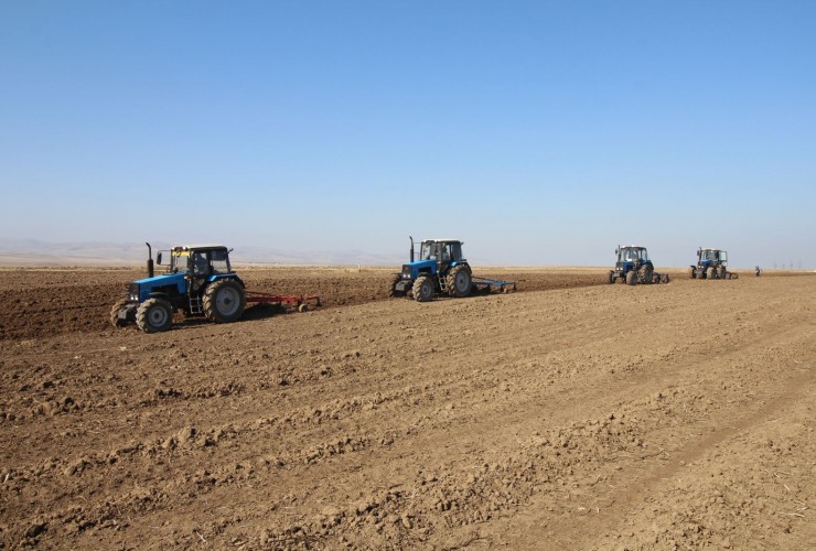 Azərbaycanda payızlıq əkinlər üçün şum prosesinin 70,6 faizi yekunlaşıb