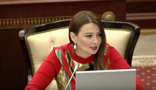 Qənirə Paşayeva MM-də uşaqlar, gənclərlə bağlı qəbul olunan qanunların icrasına ciddi nəzarət edilməsinə çağırıb