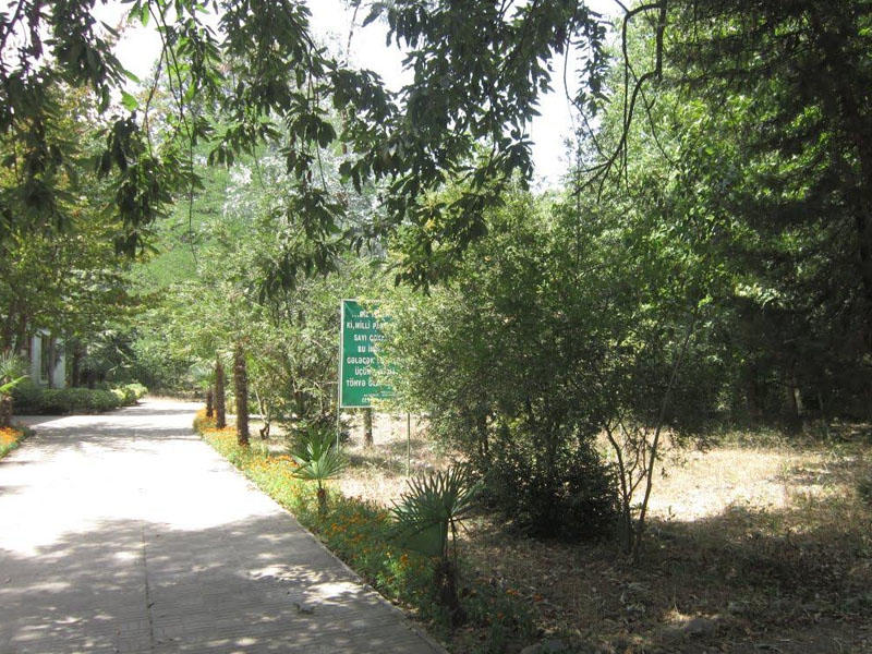 Milli Park direktoru: 