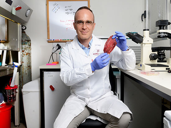 Alimlər heyvanları öldürmədən mal əti əldə etdilər - FOTO-VİDEO