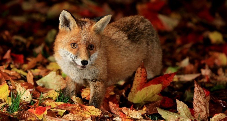 Прогноз погоды на завтра