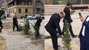 Bakıda ağac təxribatına dövlət qurumlarından - RƏSMİ AÇIQLAMA - VİDEO