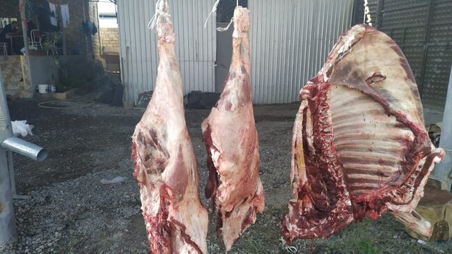 Mingəçevirdə ölmüş heyvan ətinin satışa çıxarılmasının qarşısı alındı - FOTOLAR