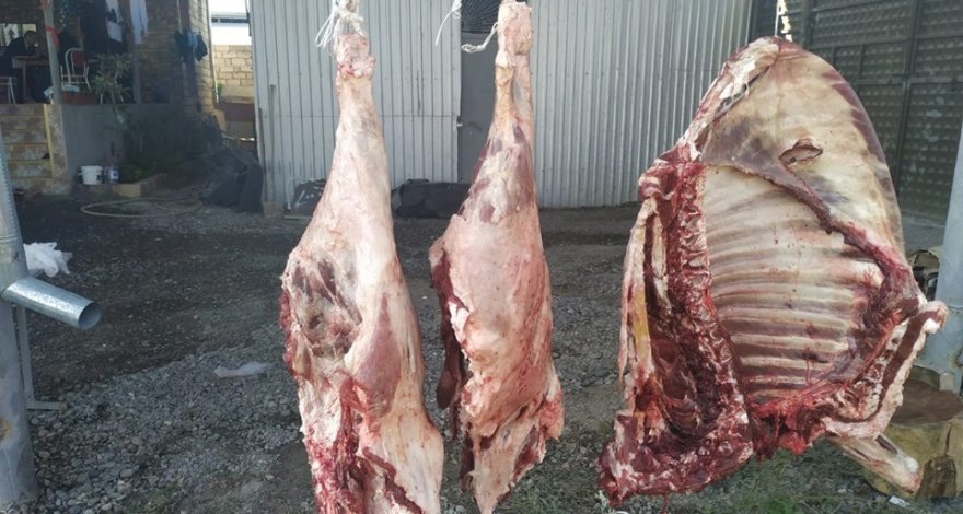 В Мингячевире предотвращена попытка продажи мертвечины - ФОТО