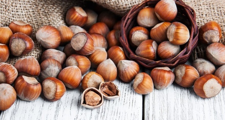 Азербайджан может стать вторым в мире производителем фундука