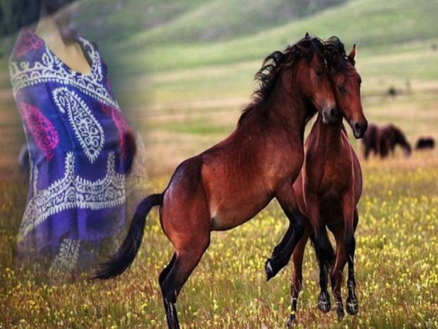 Azərbaycan kəlağayısı və Qarabağ atları İstanbulda - VİDEO