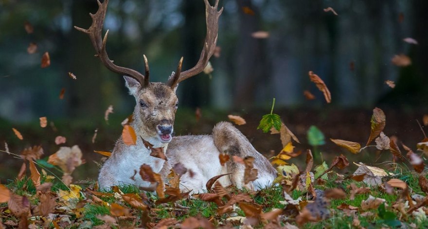 Прогноз погоды на завтра