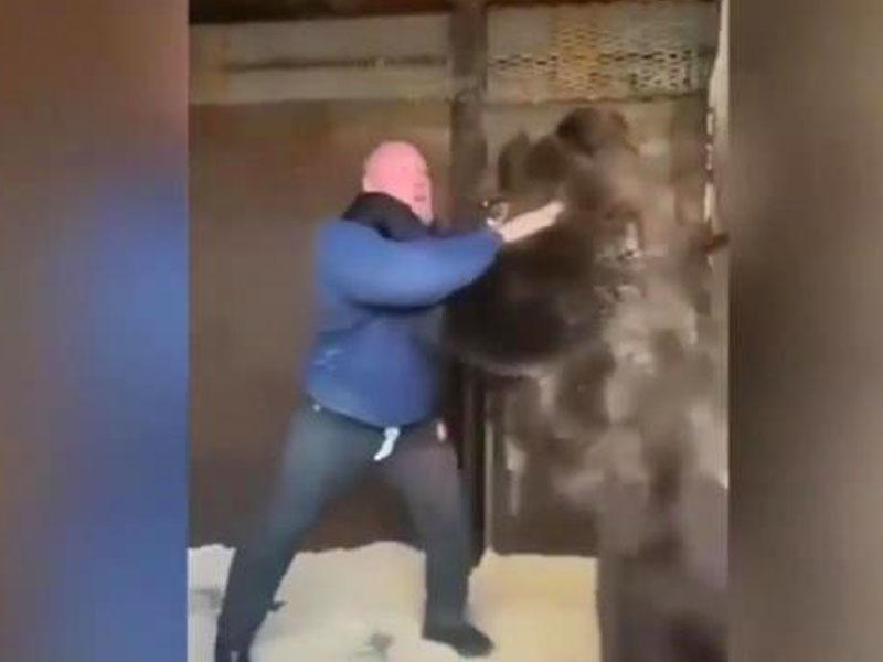 Məşhur idmançıdan qeyri-adi paylaşım: AYIYA QARŞI AYI - VİDEO