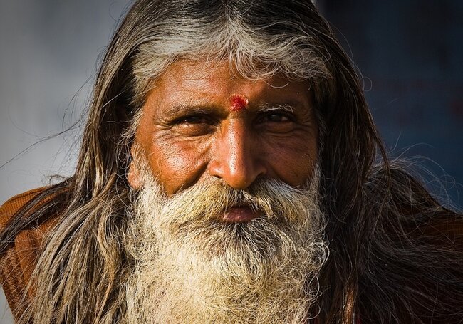 Qədim arilər Sibirdən gəlib və cəmiyyətin elitası olub - Alimlər sübut etdi