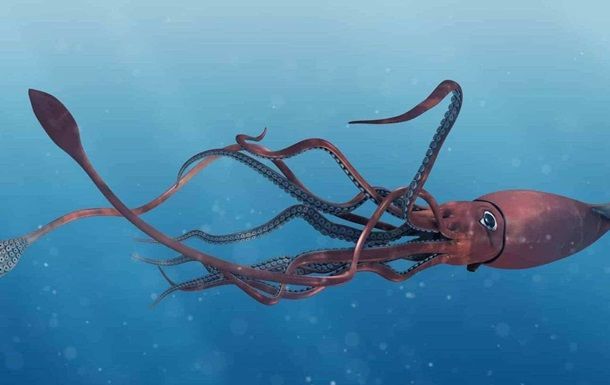 Okeanda mövcud olan qəribə varlıq belə görüntüləndi - VİDEO