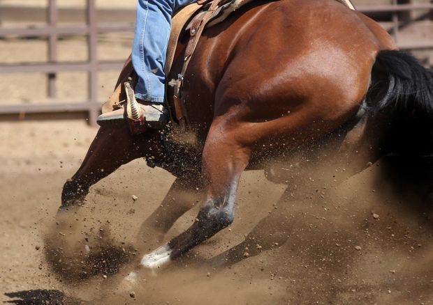 В Азербайджане женщину привязали к лошади и проволокли по земле - ОБНОВЛЕНО
