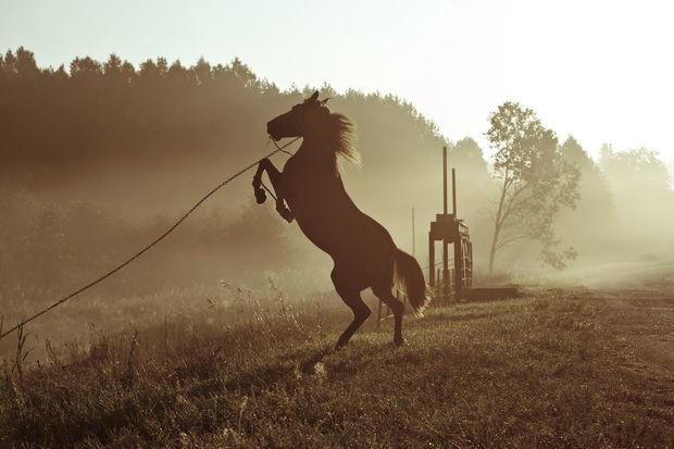 Подробности жестокого избиения жительницы Геранбоя - ФОТО/ВИДЕО