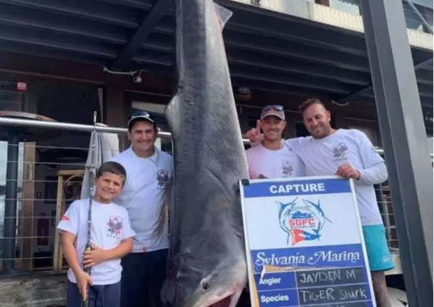 В Австралии 8-летний мальчик поймал акулу на удочку - ФОТО/ВИДЕО