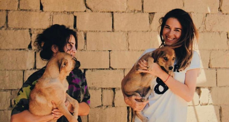 Некоторые люди даже остатки еды не готовы отдавать животным. Нигяр Гулиева о том, как открыла приют для собак