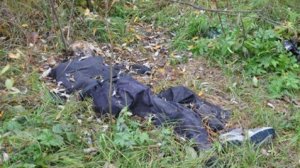 Bakıda yaşıllıqda 50 yaşlı kişinin meyiti tapıldı