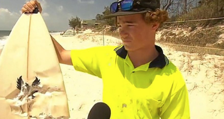 Огромная акула затаилась под доской и напала на серфера