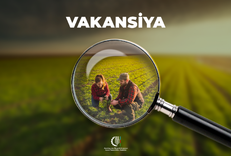 Kənd Təsərrüfatı Nazirliyi 151 vakant yer üzrə işə qəbul elan edib