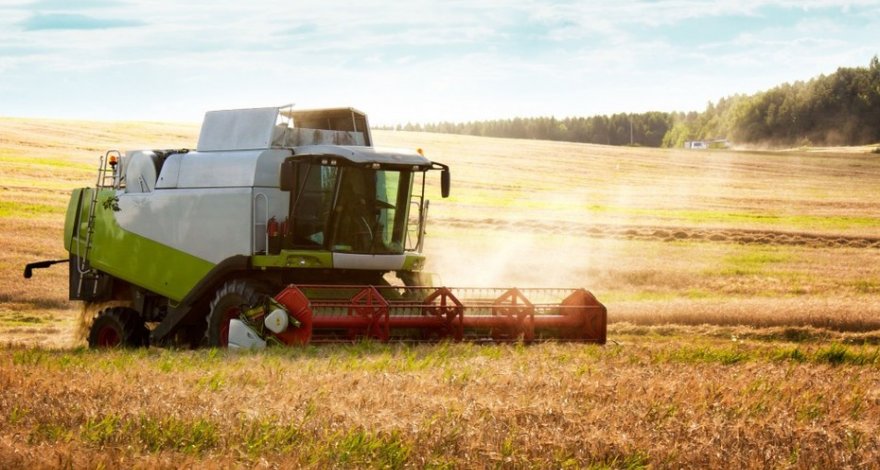 На проекты по производству зерна в Азербайджане выделено 71 млн долларов