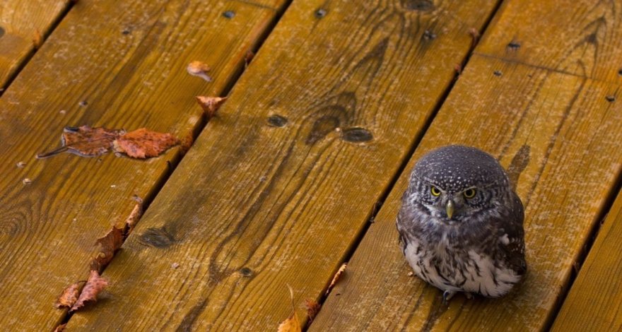 Прогноз погоды на завтра