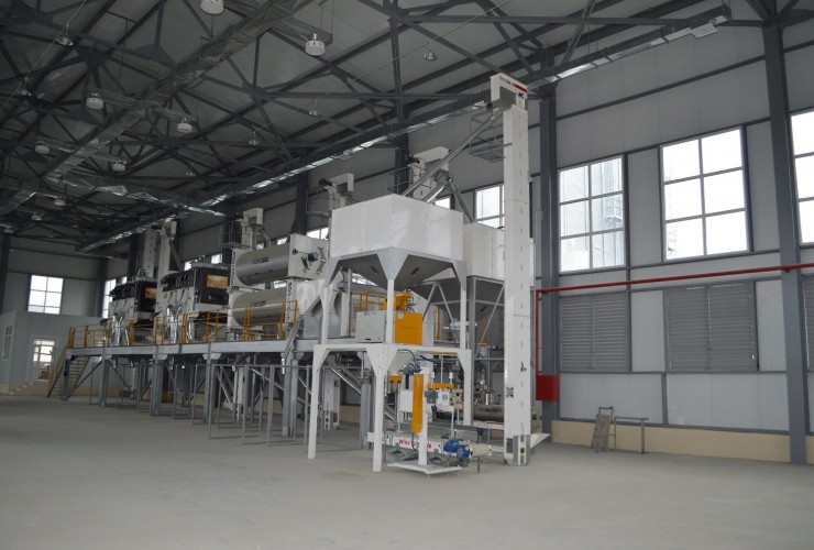 Dövlət Toxum Fondunun tabeliyində olan zavodlarda 4000 ton toxum emal olunub