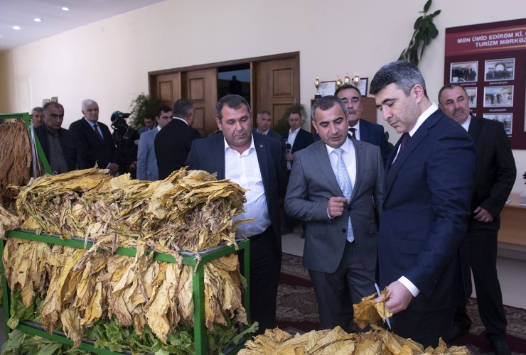 Oğuzda “Tütünçülük-2020: qarşıda duran vəzifələr” mövzusunda respublika müşavirəsi keçirilib