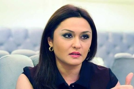 Günel Səfərova sədr seçildi