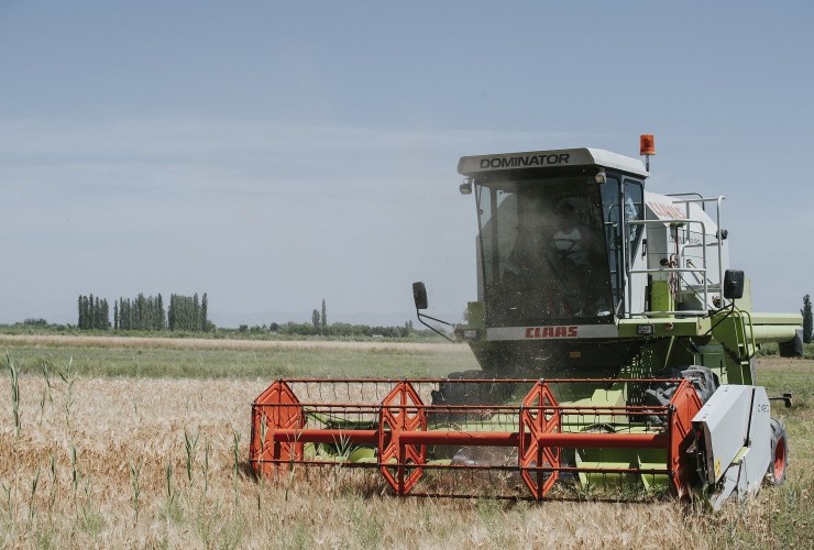 Bu günədək qəbul məntəqələrinə 255 min tondan artıq pambıq təhvil verilib