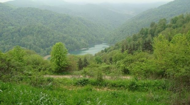 Göygöldə ölüm – 36 yaşlı Gəncə sakininin meyiti dərədə tapıldı