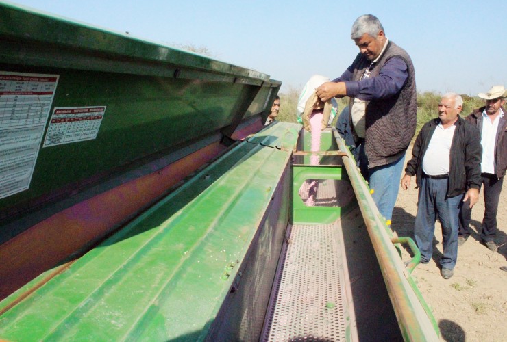 Beyləqanda intensiv yemçilik layihəsi həyata keçirilir