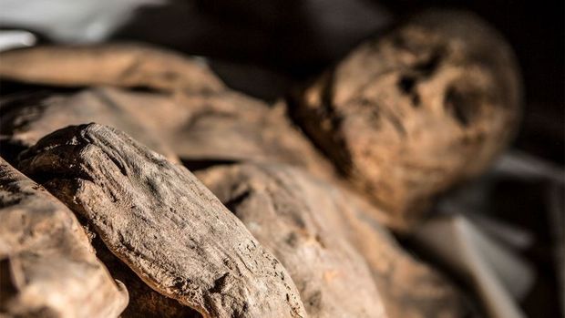 Qohumları ölmüş rəssamın meyitini altı həftə evdə gizlətdi