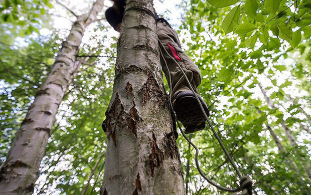 Zaqatalada kişi ağacından yıxılıb öldü